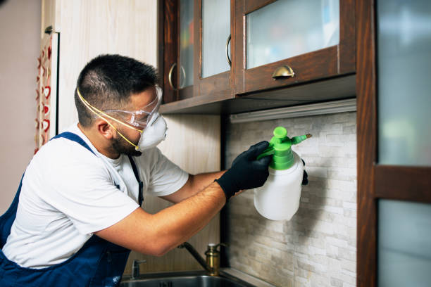 Best Wildlife Control Services  in Manche Village, CA