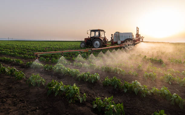 Best Commercial Pest Control Services  in Manche Village, CA