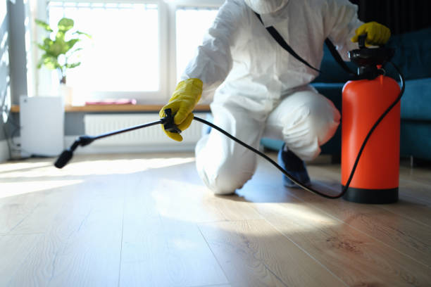 Reliable Camanche Village, CA Pest Control Solutions