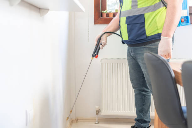 Best Pest Removal Services  in Manche Village, CA